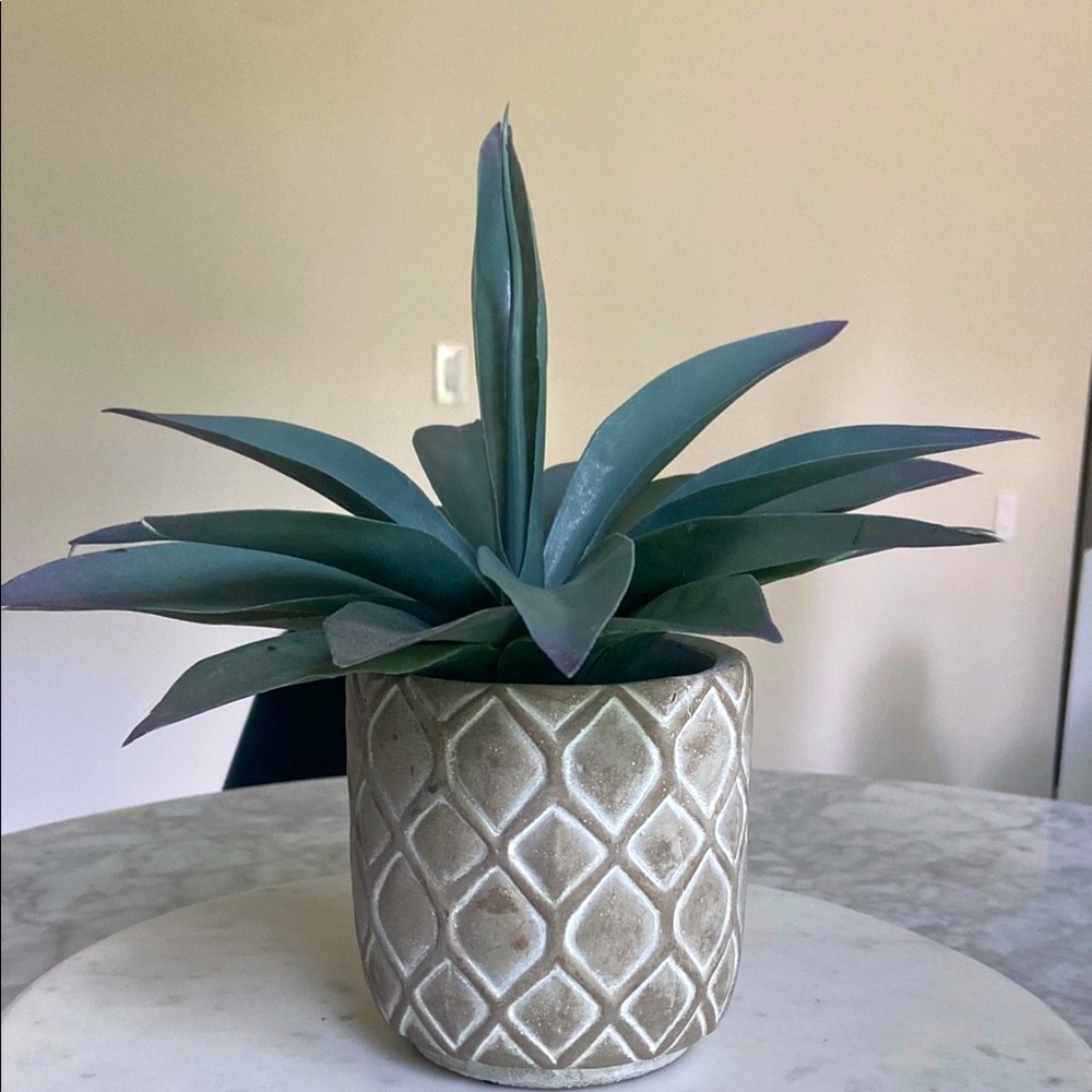 Faux Agave Plant